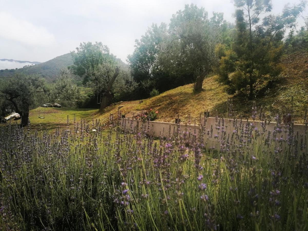 L'Opuntia Sul Lago Caccamo 외부 사진